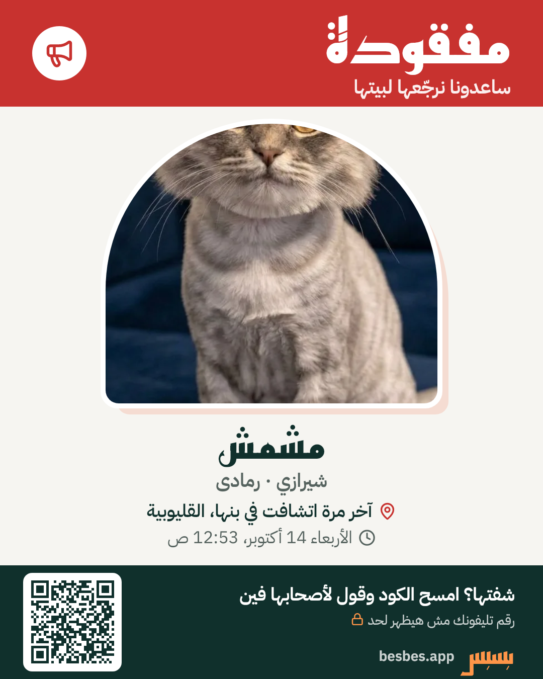 بوستر نداء بسبس عن مشمش
