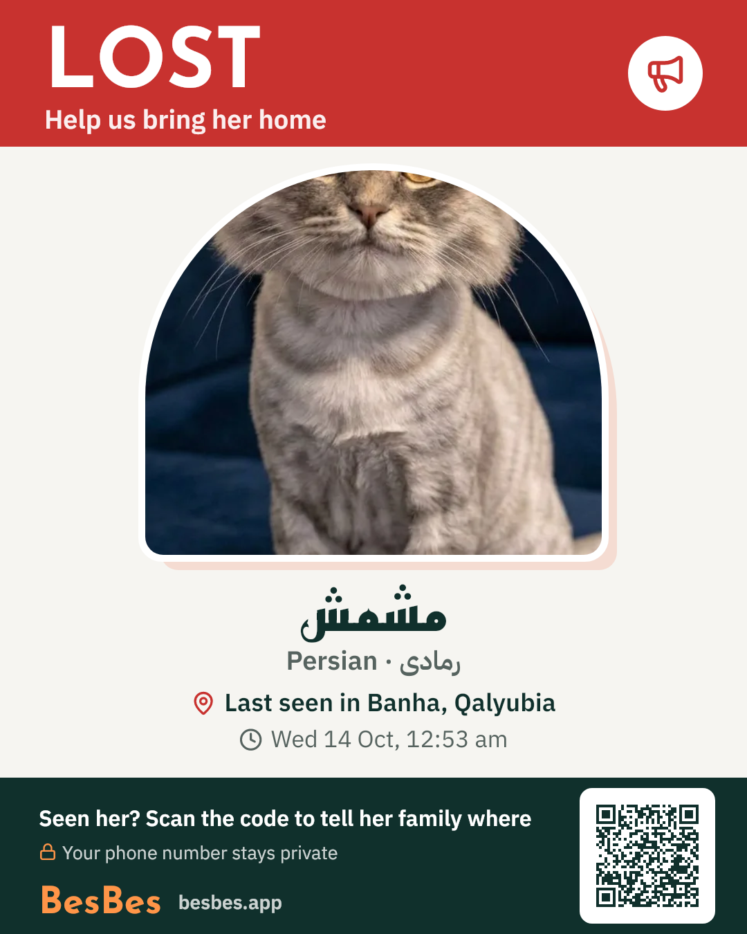 BesBes alert poster for مشمش